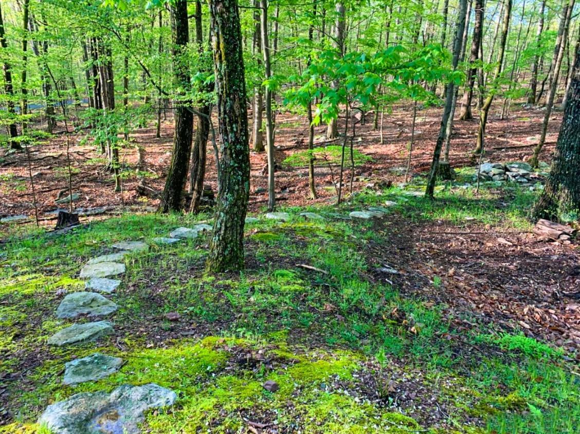 Chalet W Hot Tub, Large Deck, Grill, & Fast Wifi Berkeley Springs Bagian luar foto